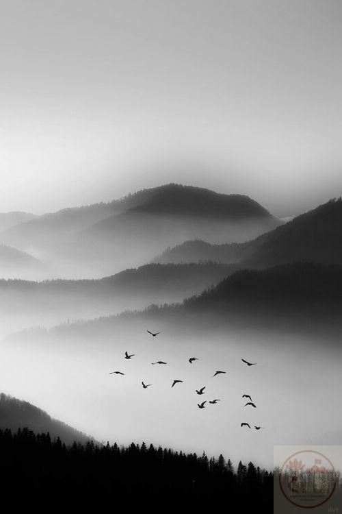 Không gian tối giản tạo nên sự khác biệt và chiều sâu cho cảm xúc