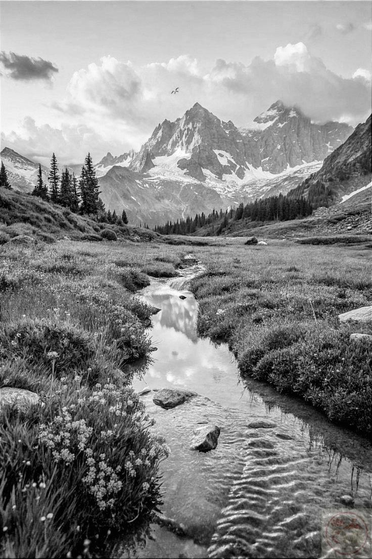 Những khung hình đơn sắc làm con người thêm phần lắng đọng tâm hồn