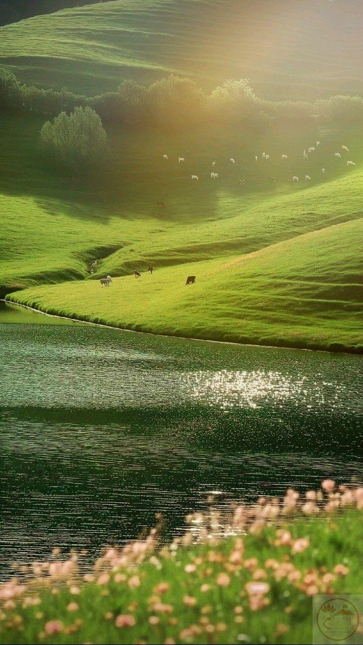 Sự tĩnh lặng trong cảnh quan mang lại nguồn năng lượng thư giãn mới