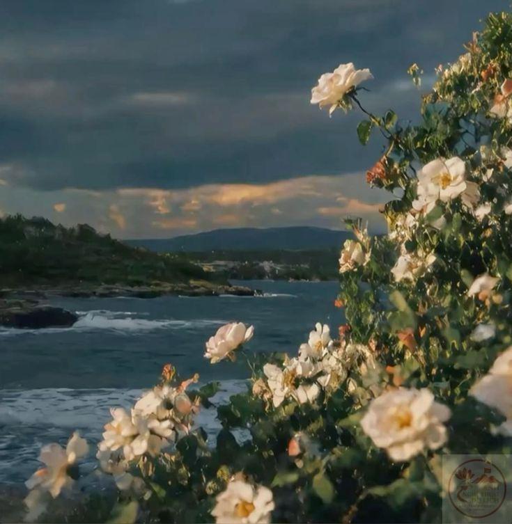 Hình ảnh avatar là cách đơn giản để thể hiện tâm trạng tích cực