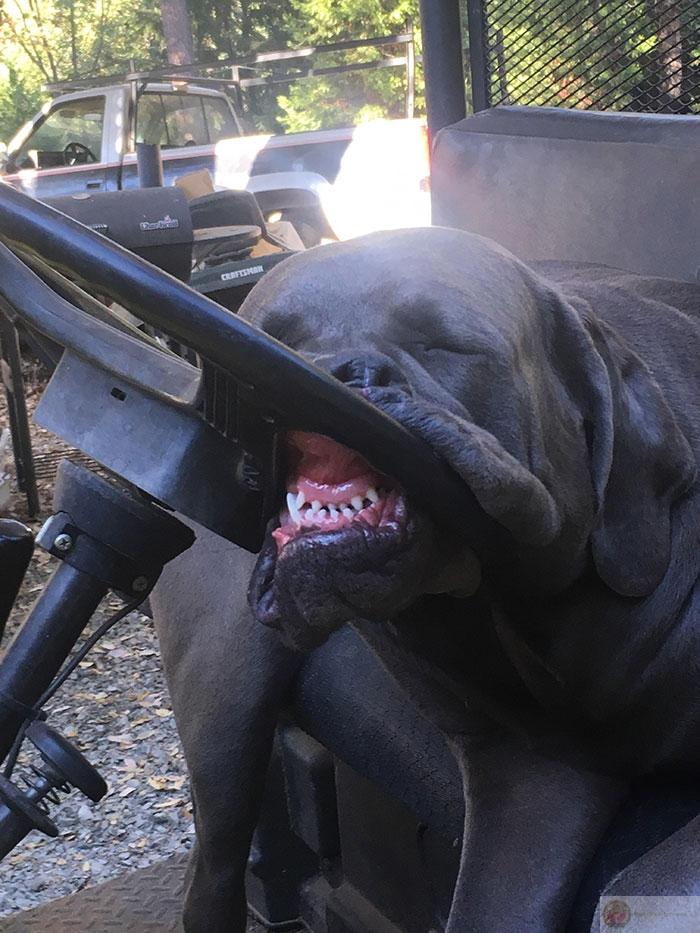 Ngủ là sở thích không bao giờ lỗi thời