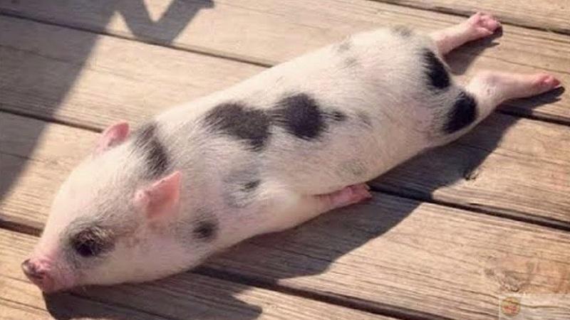 Mỗi lần thức dậy là một cuộc chiến