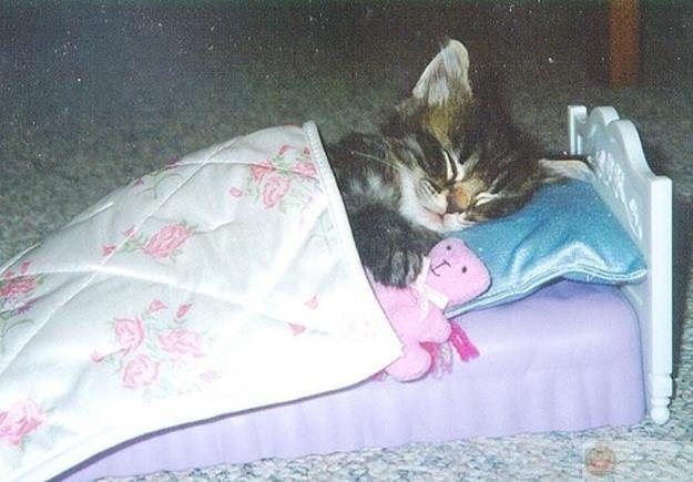 Đang học mà mắt tự động tắt nguồn