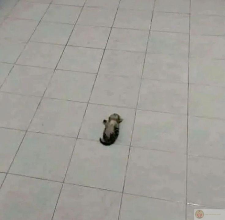 Bắt đầu ngủ từ mệt mỏi, tỉnh dậy thành lười