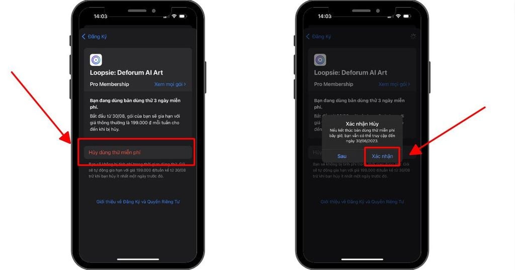 GEARVN - Hướng dẫn hủy gói Loopsie Pro
