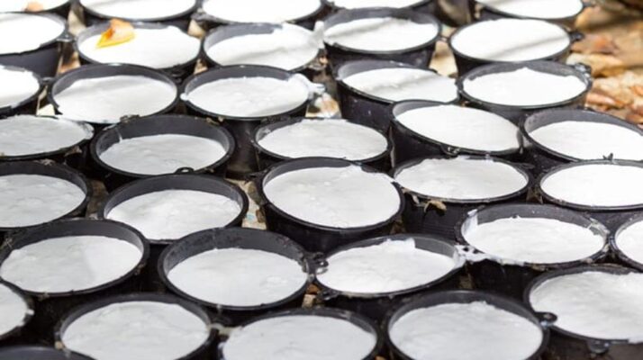 Tính chất vật lý