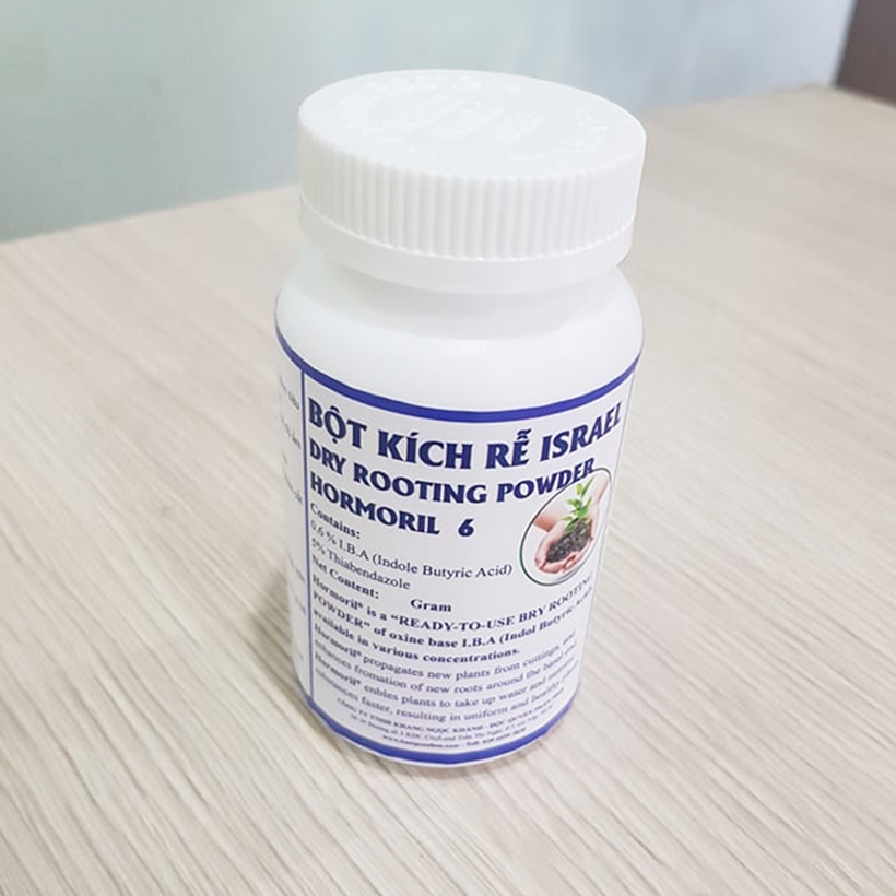 Kich-ra-re-giam-canh-hong-Homoril-Israel 2