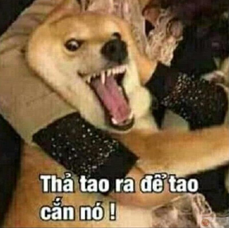 Một cú liếc đủ khiến không khí đông cứng