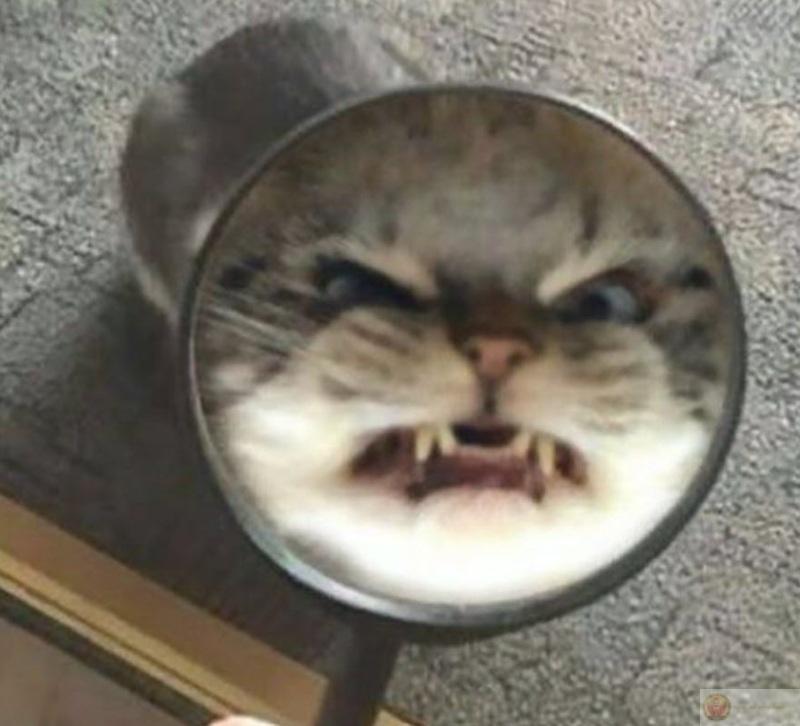 Không ai hiểu cơn giận nó cay cỡ nào đâu