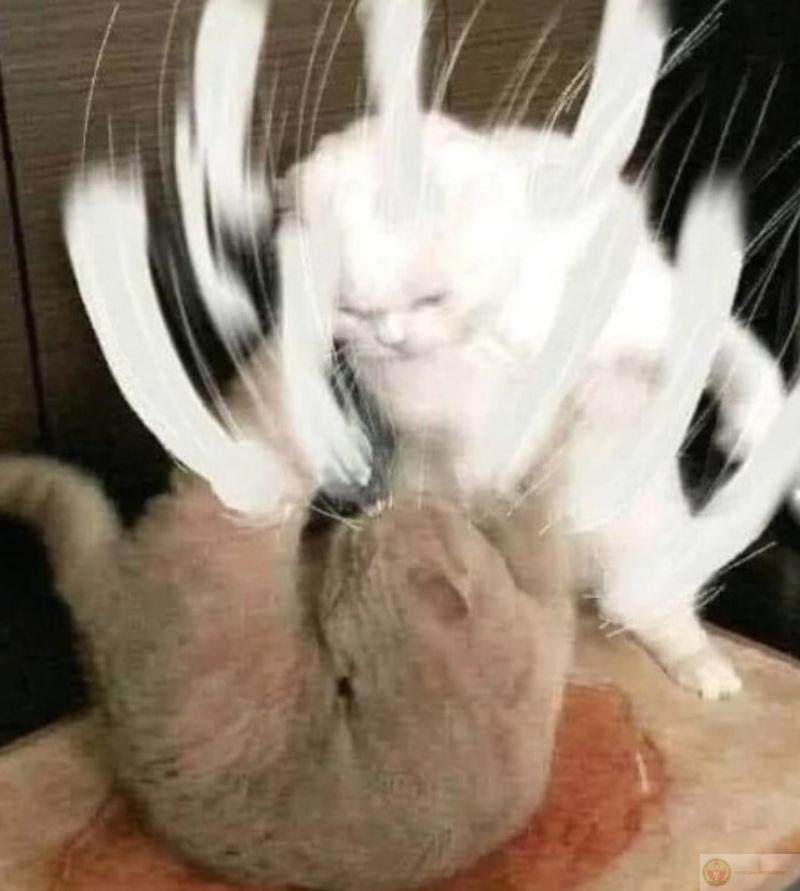 Một ánh mắt thôi là hiểu cơn giận cỡ nào