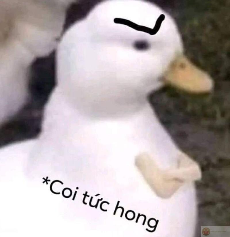 Không đập bàn ghế là may lắm rồi