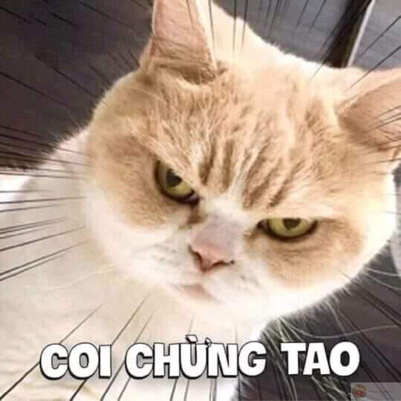 Cơn giận tích tụ từ nhiều kiếp trước