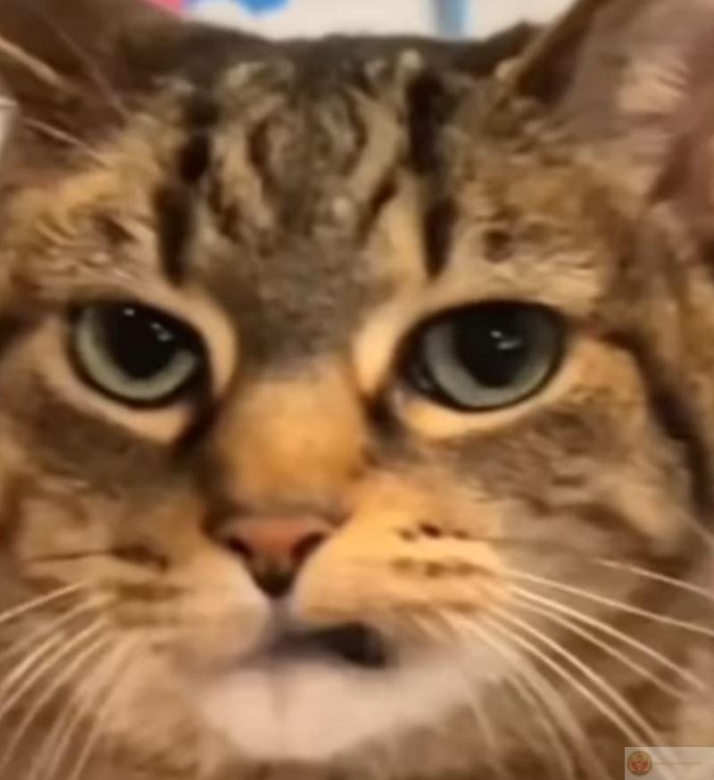 Không phải không giận, là đang cố nhịn