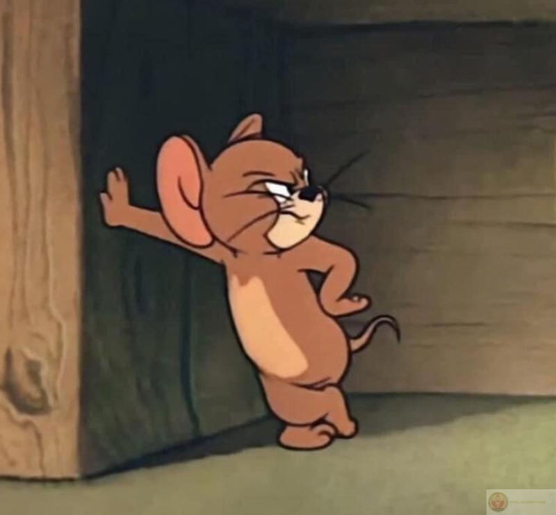 Meme tức giận cute