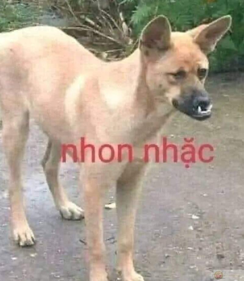 Đừng tưởng im lặng là nguôi giận