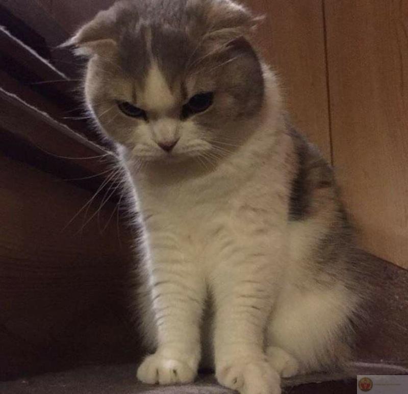 Chỉ cần một lời sai là lên tăng xông