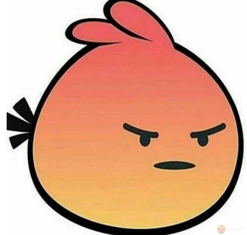 Meme mèo tức giận