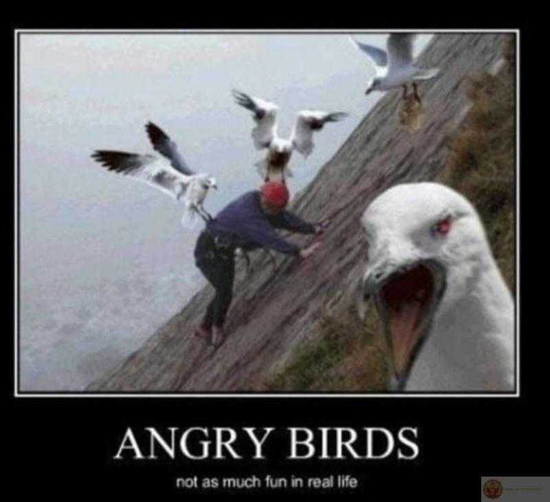 Tức mà vẫn phải trả lời: