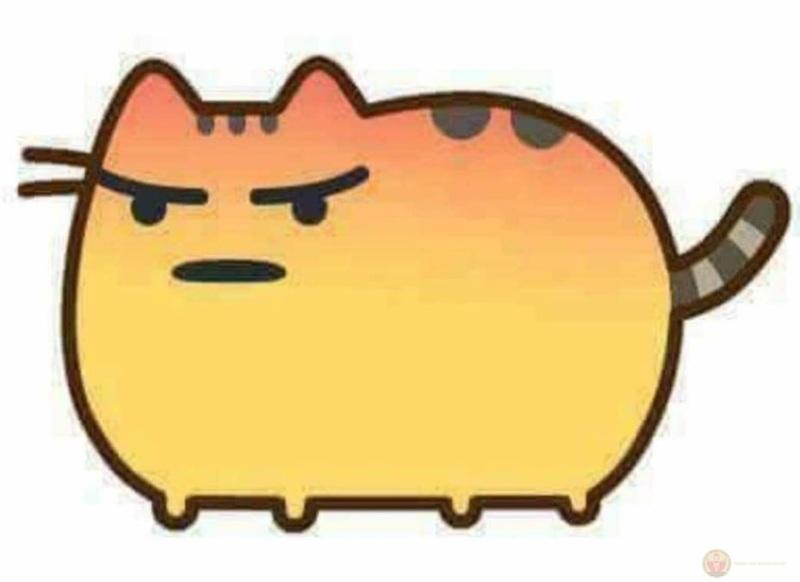 Đừng hỏi gì lúc này, đang tự cứu lấy mình