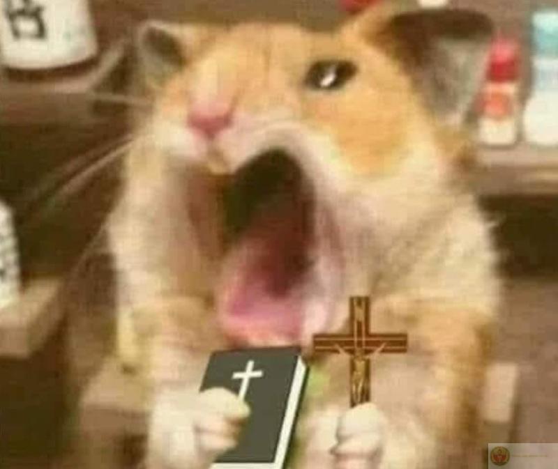 Giận mà đẹp trai lên thì cũng đỡ buồn