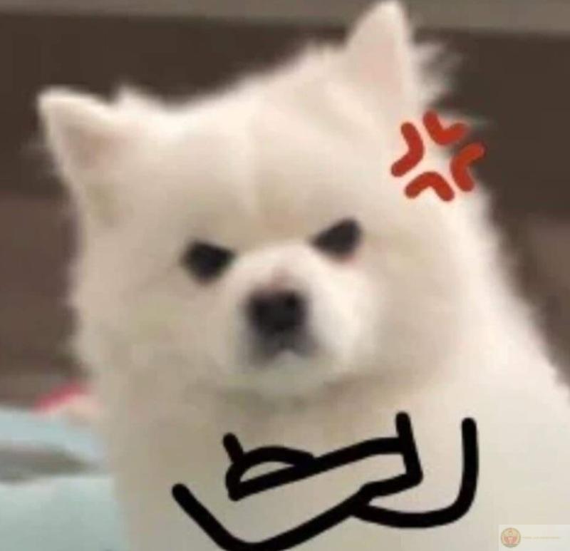 Giận mà không chửi là đang nể đó