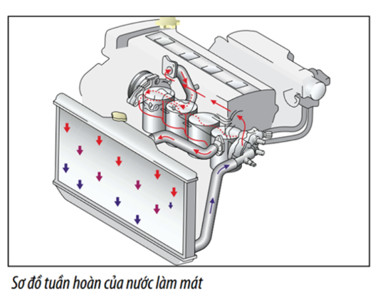 Dịch vụ chăm sóc làm đẹp xe chính hãng Toyota Việt Nam