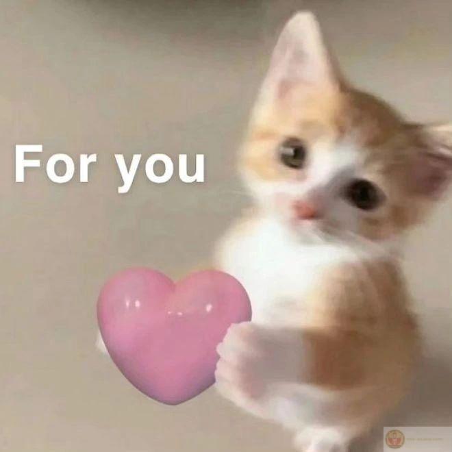 Meme thả tim hài hước chứng tỏ sức hút bền bỉ khi luôn viral khắp mạng xã hội