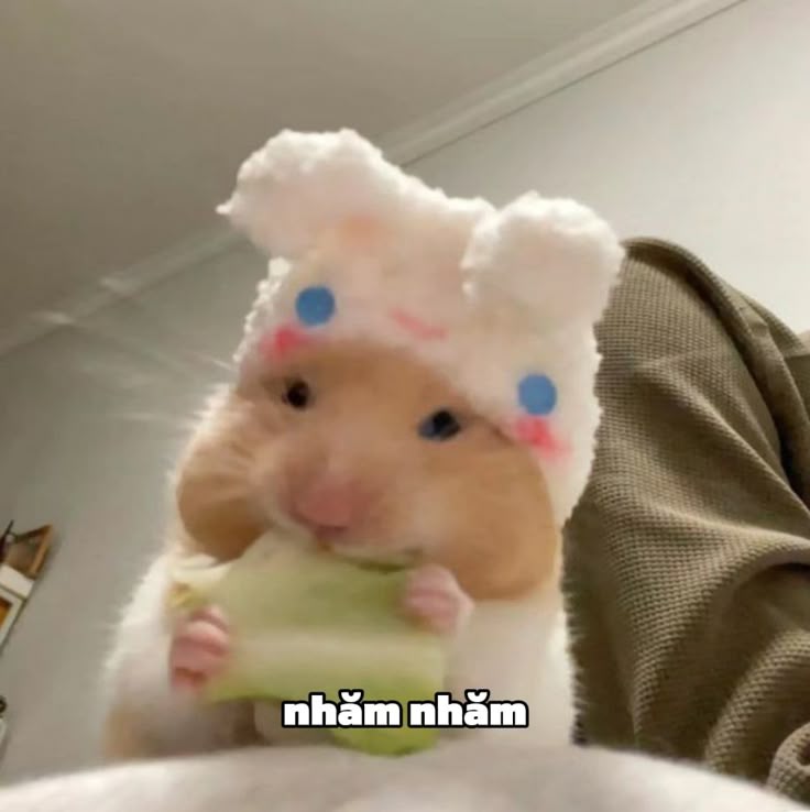 Chuột nhỏ cute giúp các đoạn trò chuyện thêm phần rộn ràng thú vị