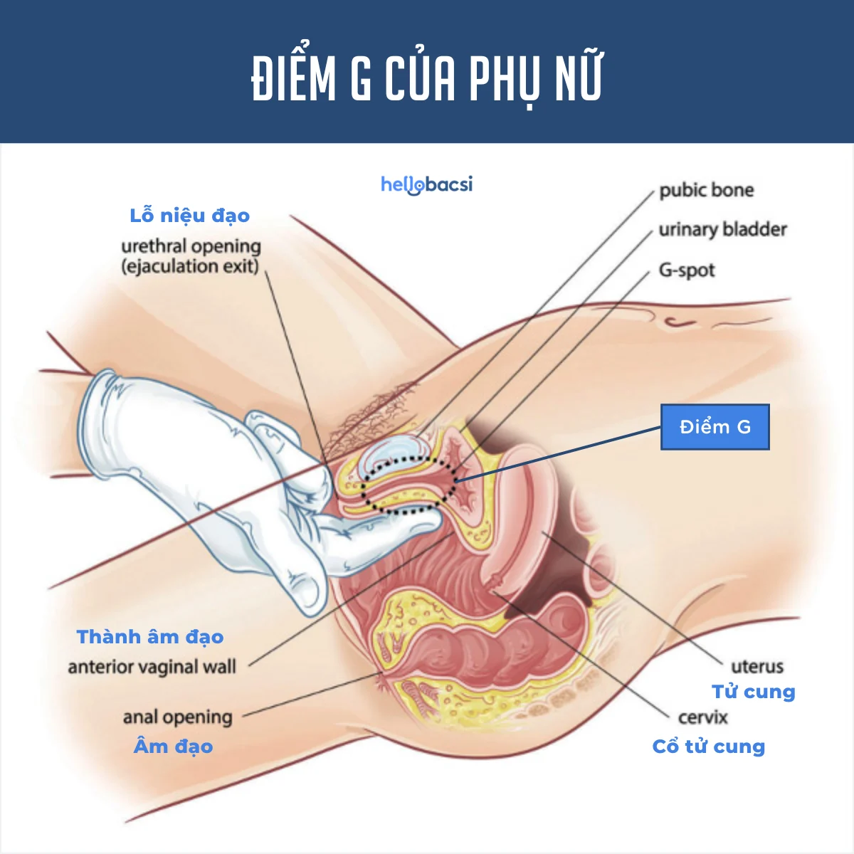 Cách tìm điểm g
