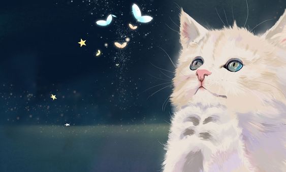 ảnh bìa facebook đẹp cute