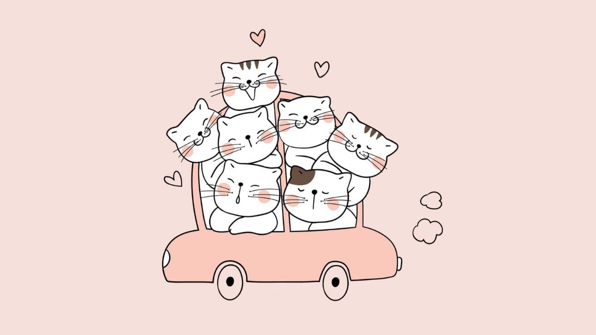 ảnh bìa facebook đẹp cute