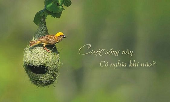 ảnh bìa Facebook đẹp, ý nghĩa