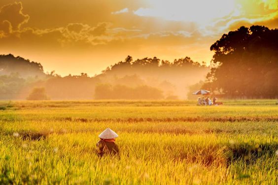 ảnh bìa Facebook đẹp, ý nghĩa
