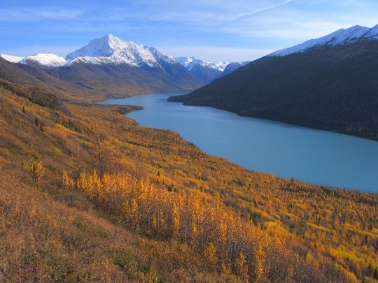 20 bức ảnh quyến rũ bạn đến Alaska - 3