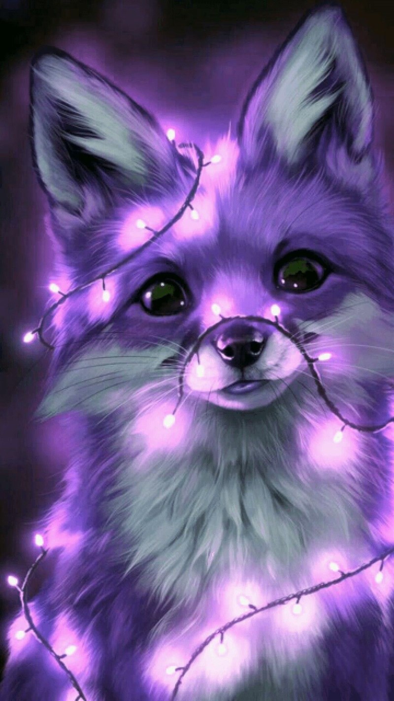 hình nền chó cute tím