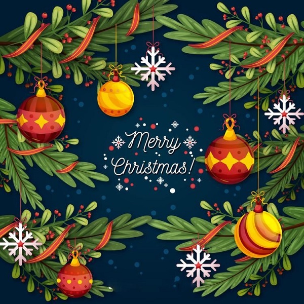 Avatar noel