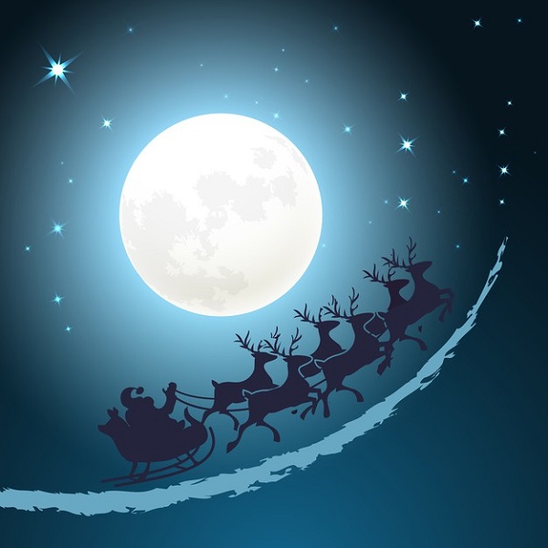 Avatar noel