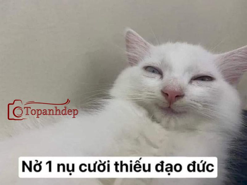 1 nụ cười thiếu đạo đức