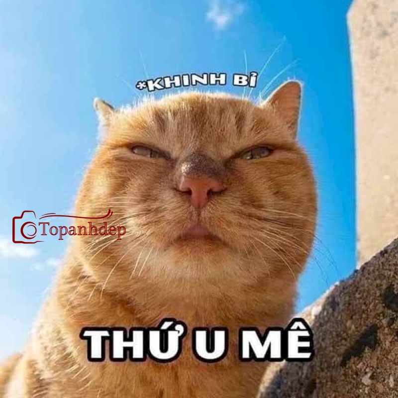 Cái thứ u mê này