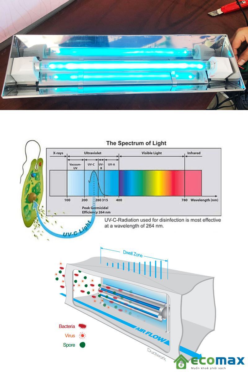 Cơ chế hoạt động của mua đèn UV diệt khuẩn