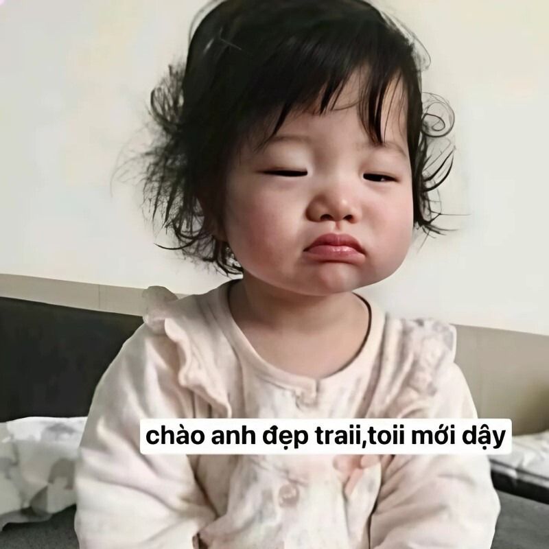 Trọn Bộ Sưu Tập Hơn 100+ Meme Dễ Thương Hay Dùng Nhất