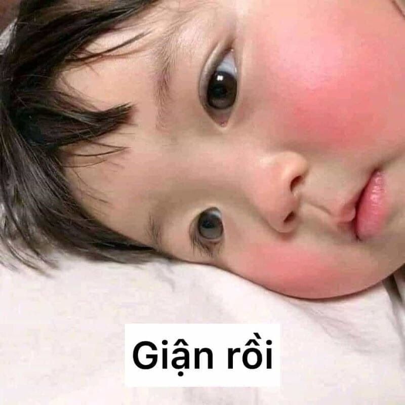 Trọn Bộ Sưu Tập Hơn 100+ Meme Dễ Thương Hay Dùng Nhất