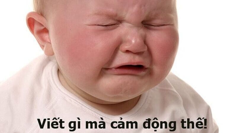 Trọn Bộ Sưu Tập Hơn 100+ Meme Dễ Thương Hay Dùng Nhất