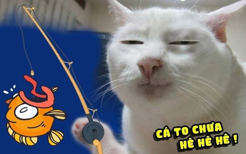 Trọn Bộ Sưu Tập Hơn 100+ Meme Dễ Thương Hay Dùng Nhất