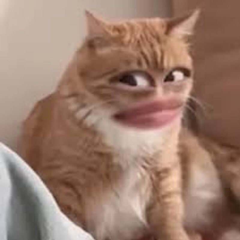 Ý nghĩa meme ai biết gì đâu