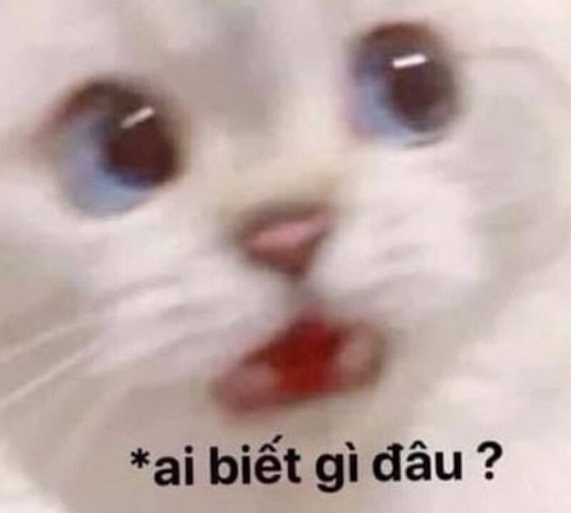Ai biết gì đâu meme