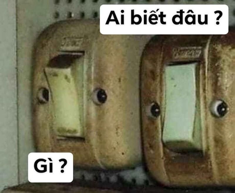 Ai biết gì đâu meme