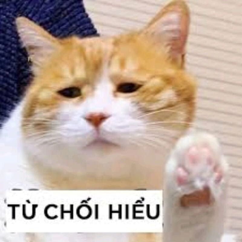 Ai biết gì đâu meme