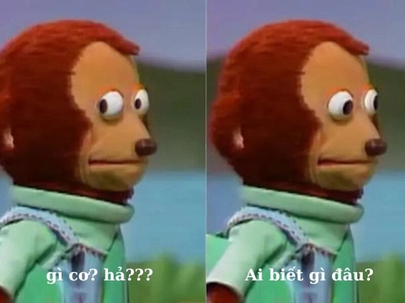 Ai biết gì đâu meme