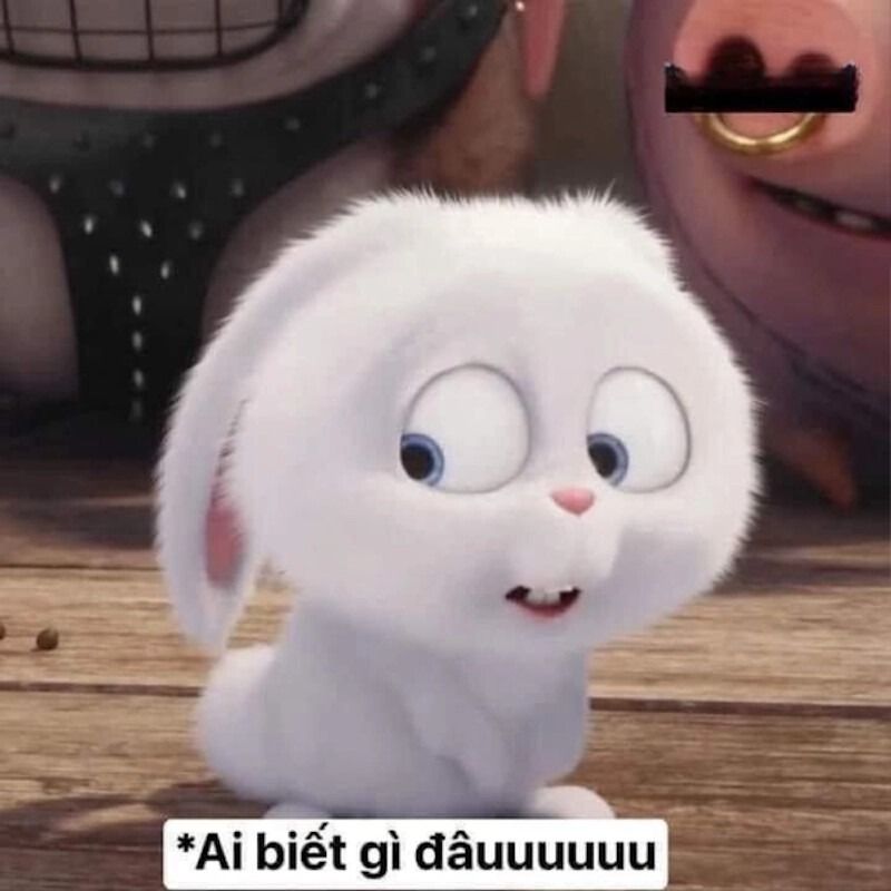 Ai biết gì đâu meme